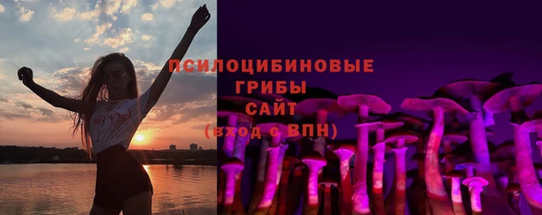 сатива Новоульяновск