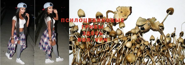 кокаин VHQ Новокубанск